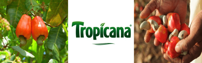 pomme de cajou_tropicana