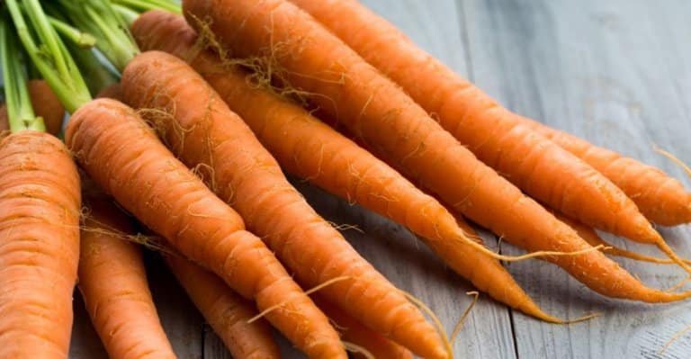 farine à la pilpe de carotte