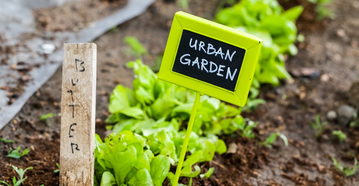 agriculture urbaine urban farming