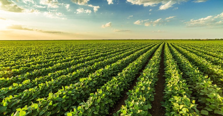 biodiversité slow food