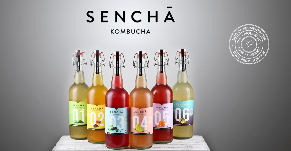 sencha kombucha gamme