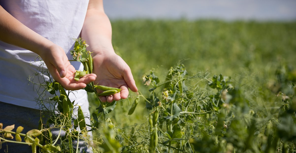 dupont danisco planit