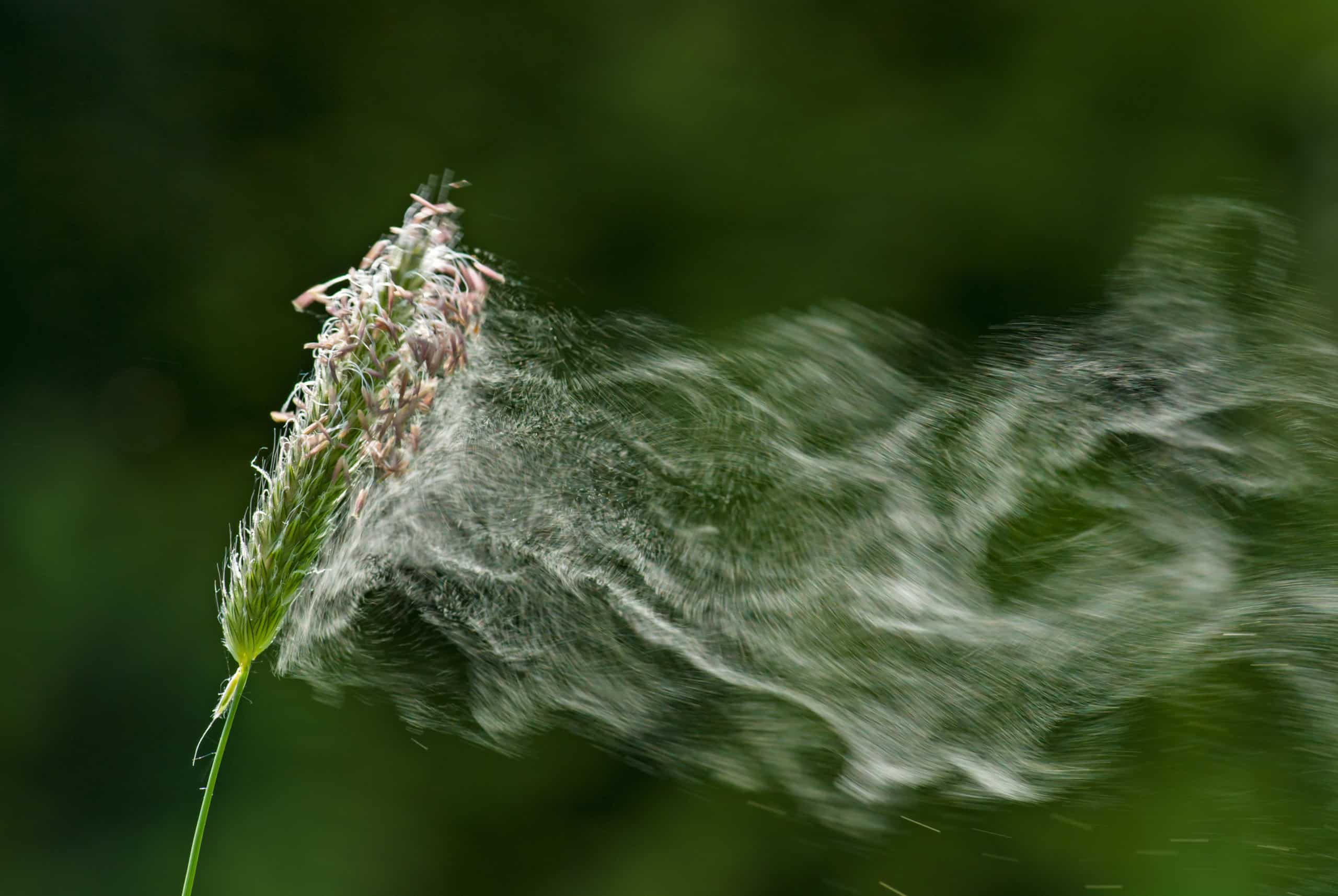 compléments alimentaires allergies