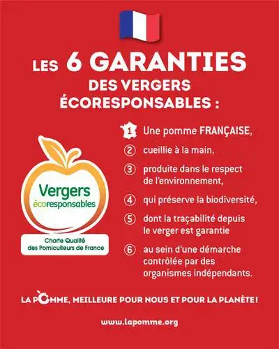 pommes françaises