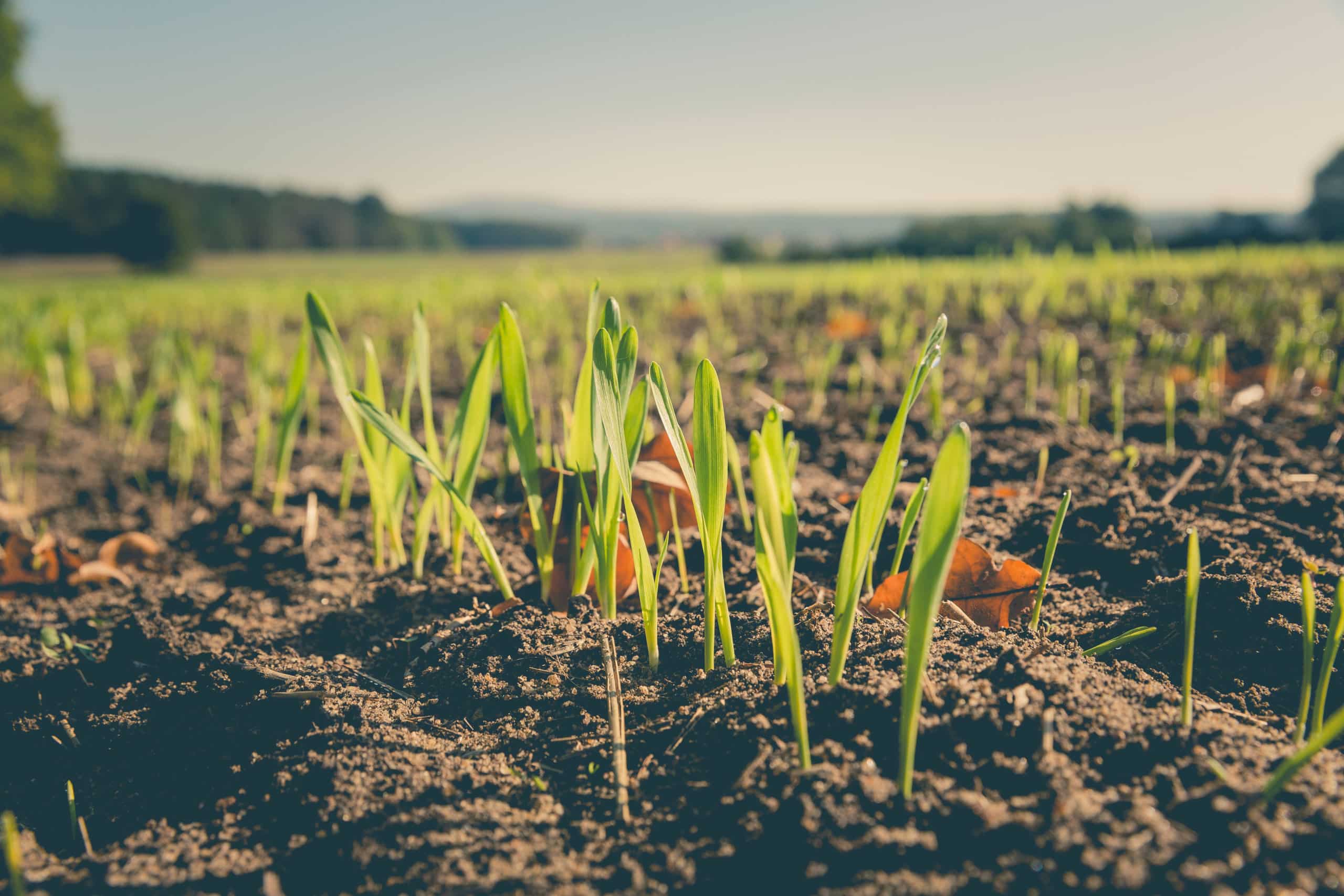 Le baromètre des produits biologiques nuageux en 2023