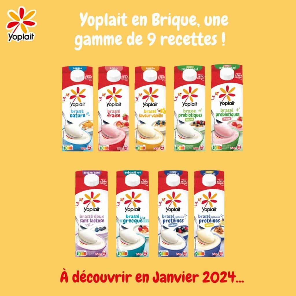 Yoplait briques